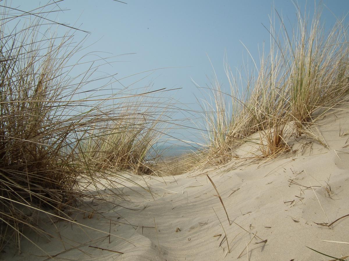 Hollumerstrand Hollum (Ameland) Exterior foto